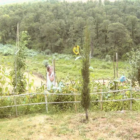 The Meadow * Trequanda